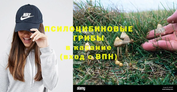 мдпв Володарск