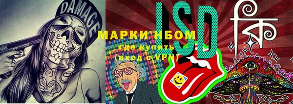 мдпв Володарск