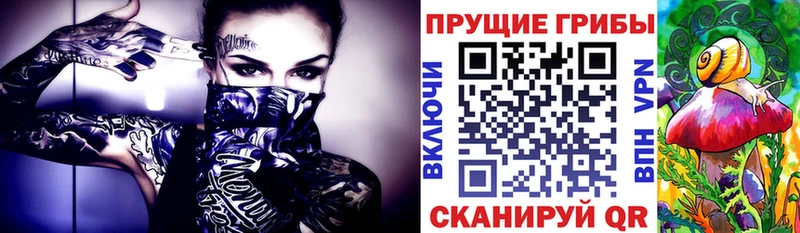 Галлюциногенные грибы Cubensis  Купить  Кольчугино 